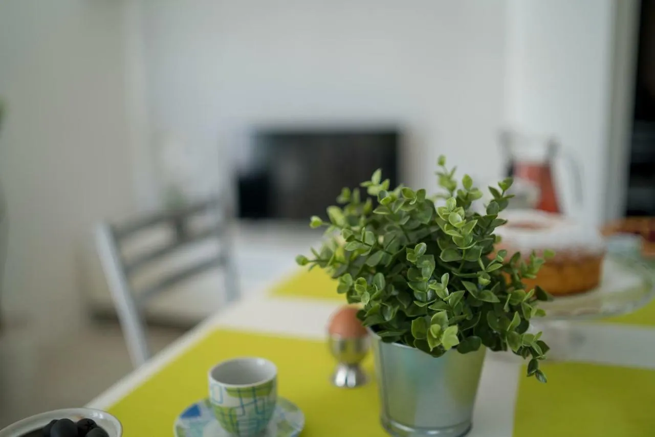 רימיני Green Residence מלון דירות